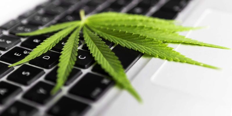 Cannabis leaf on keyboard