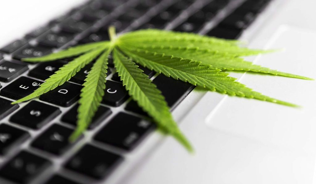 Cannabis leaf on keyboard